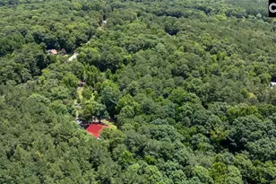 100 Seven Dr, Chapin, SC 29036 - Photo 51