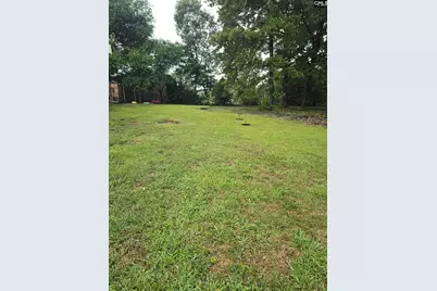 2603 Fish Hatchery Road, West Columbia, SC 29172 - Photo 5