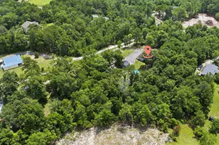 3904 Calks Ferry Rd, Pelion, SC 29123 - Photo 39
