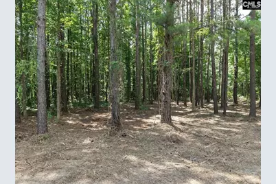 0 Peace Lane, Bowman, SC 29018 - Photo 11