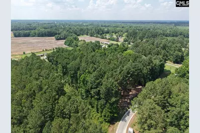0 Peace Lane, Bowman, SC 29018 - Photo 7