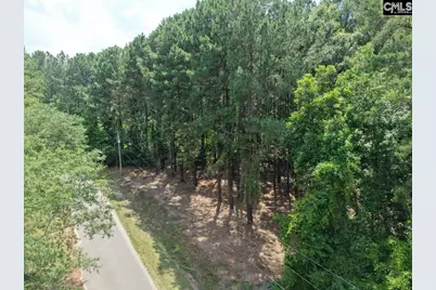 0 Peace Lane, Bowman, SC 29018 - Photo 3