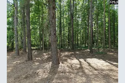 0 Peace Lane, Bowman, SC 29018 - Photo 13