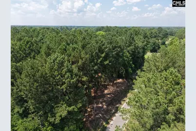0 Peace Lane, Bowman, SC 29018 - Photo 5