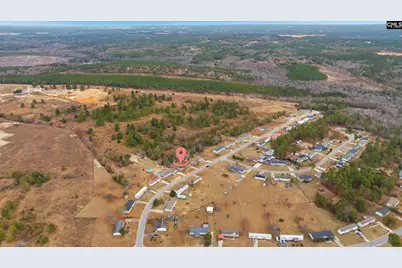 233 Peeler Road, Gaston, SC 29053 - Photo 3