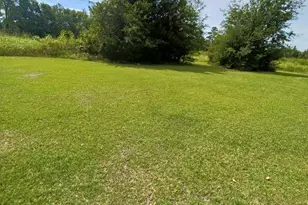 2495 Willow Grove Rd, Pamplico, SC 29583 - Photo 1