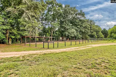 172 Eugene Neese Lane, Swansea, SC 29160 - Photo 49