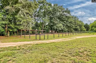 172 Eugene Neese Ln, Swansea, SC 29160 - Photo 49