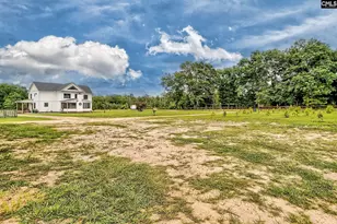 172 Eugene Neese Ln, Swansea, SC 29160 - Photo 45