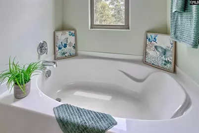 16 Brentsmill Circle, Blythewood, SC 29016 - Photo 37