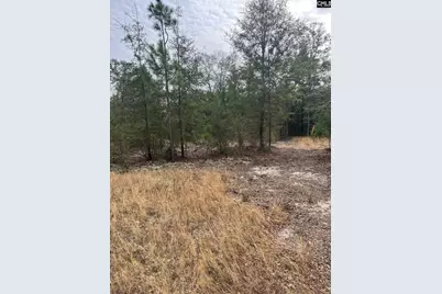 Whl 7 Rainbow Drive Whl 7, Salley, SC 29137 - Photo 5
