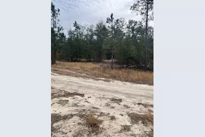 Whl 7 Rainbow Drive Whl 7, Salley, SC 29137 - Photo 3