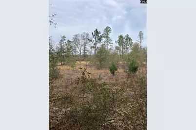 Whl 7 Rainbow Drive Whl 7, Salley, SC 29137 - Photo 7