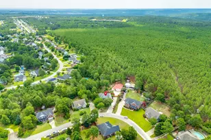 364 Church View Loop, Lexington, SC 29073 - Photo 31