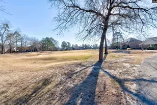 334 Glenn Village Cir, Blythewood, SC 29016 - Photo 33