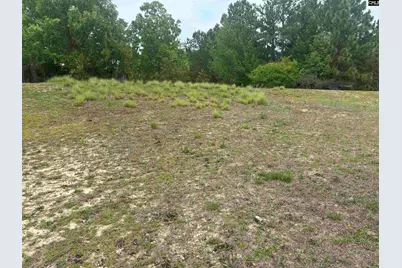 320 Bombing Range Road, Columbia, SC 29229 - Photo 3