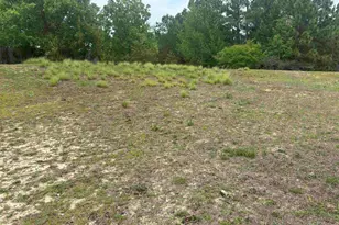 320 Bombing Range Rd, Columbia, SC 29229 - Photo 3