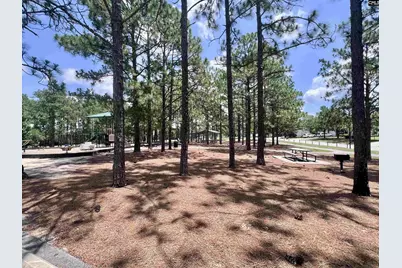 216 Elders Pond Drive, Columbia, SC 29229 - Photo 51