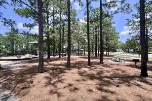 216 Elders Pond Dr, Columbia, SC 29229 - Photo 51