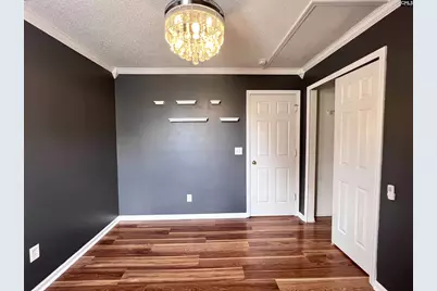 216 Elders Pond Drive, Columbia, SC 29229 - Photo 39
