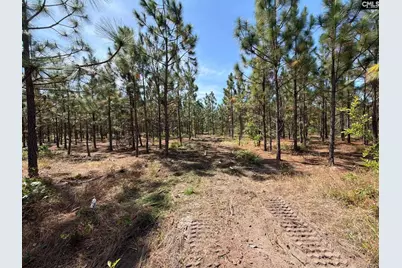 Hrf 5 Holstein Road #HRF 5, Wagener, SC 29164 - Photo 5