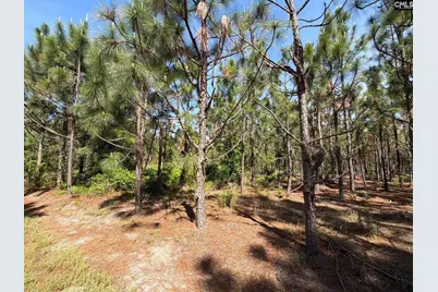 Hrf 6 Holstein Road #HRF 6, Wagener, SC 29164 - Photo 7