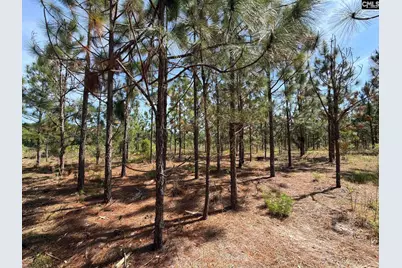 Hrf 6 Holstein Road #HRF 6, Wagener, SC 29164 - Photo 5