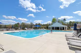 542 Carters Grove Ln, Blythewood, SC 29016 - Photo 21