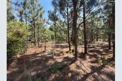 Hrf 7 Holstein Road #HRF 7, Wagener, SC 29164 - Photo 9