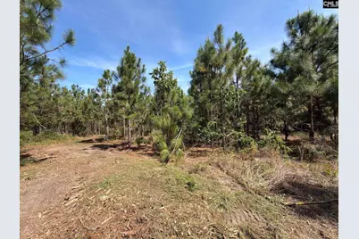 Hrf 7 Holstein Road #HRF 7, Wagener, SC 29164 - Photo 5