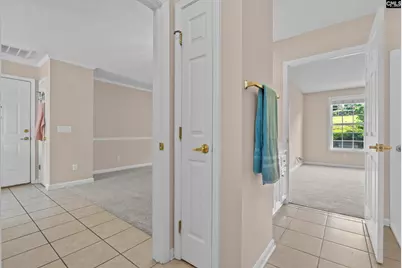 40 Southwoode Circle, Chapin, SC 29036 - Photo 17