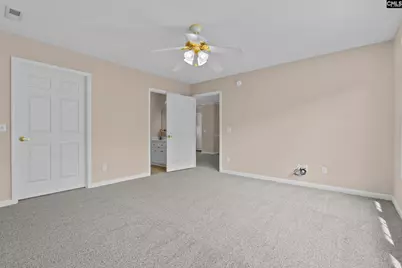 40 Southwoode Circle, Chapin, SC 29036 - Photo 11