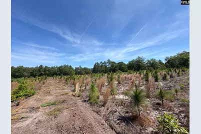 Hrf 8 Holstein Road #HRF 8, Wagener, SC 29164 - Photo 11