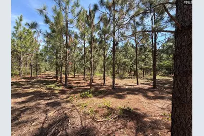 Hrf 8 Holstein Road #HRF 8, Wagener, SC 29164 - Photo 1