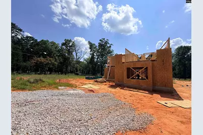 903 Hope Ferry Road, Lexington, SC 29072 - Photo 9