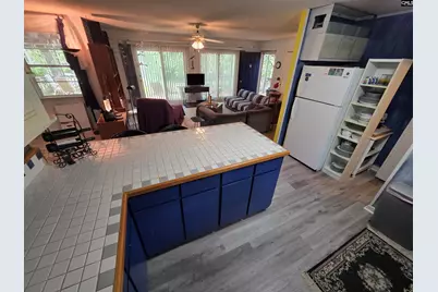 524 Lakemont Drive, Chapin, SC 29036 - Photo 25