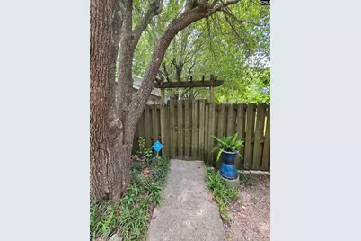 524 Lakemont Drive, Chapin, SC 29036 - Photo 11