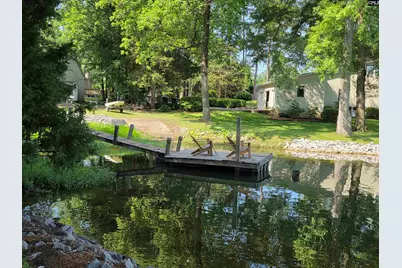524 Lakemont Drive, Chapin, SC 29036 - Photo 49