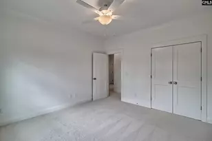 820 Elms Spinney Ln, Chapin, SC 29036 - Photo 33