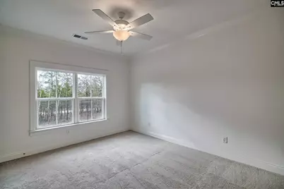 820 Elms Spinney Lane, Chapin, SC 29036 - Photo 29