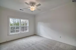 820 Elms Spinney Ln, Chapin, SC 29036 - Photo 29