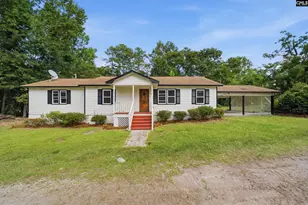525 WW Lowman Rd, Batesburg, SC 29006 - Photo 1