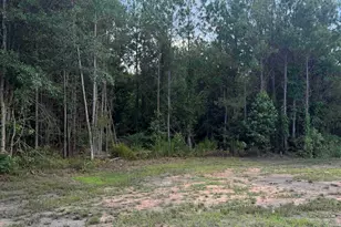 8377 Macedonia Church Rd, Prosperity, SC 29127 - Photo 19