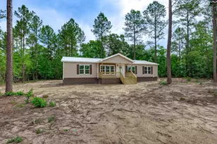 395 Otis Baughman Sr Rd, Wagener, SC 29164 - Photo 47