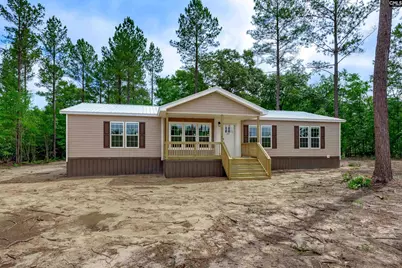395 Otis Baughman S.R. Road, Wagener, SC 29164 - Photo 3