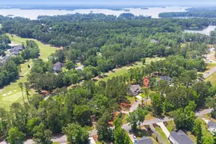 521 Misty Banks Dr, Chapin, SC 29036 - Photo 3