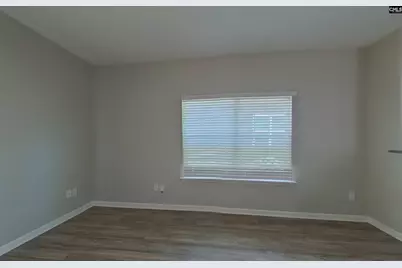 423 Lanyard Lane, Chapin, SC 29036 - Photo 3