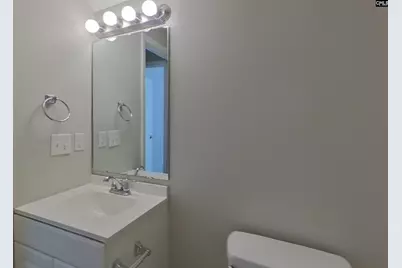 432 Cape Jasmine Way, Lexington, SC 29073 - Photo 13