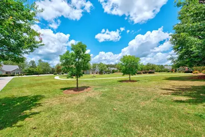125 Peach Grove Circle, Elgin, SC 29045 - Photo 31