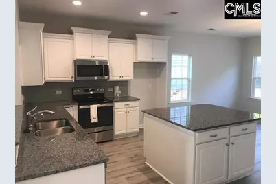1403 Tamarind Lane, Chapin, SC 29036 - Photo 3